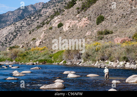 L'uomo fly flishing in un fiume nelle Montagne Rocciose del Colorado Foto Stock