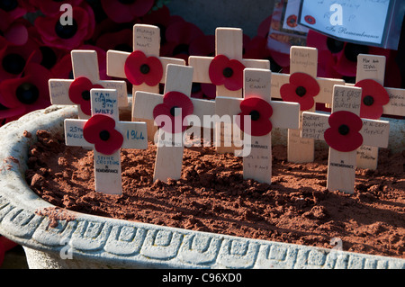 Ricordo la Domenica, 13 novembre 2011, Hackney, Londra.attraversa con papaveri piantati al memoriale di guerra. Foto Stock