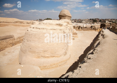 Vista posteriore della Sfinge contro uno sfondo di Giza Foto Stock
