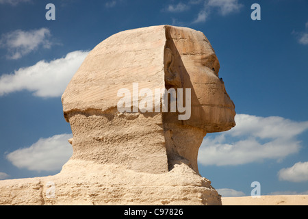 Vista la Sfinge contro lo sfondo delle piramidi di Giza Foto Stock