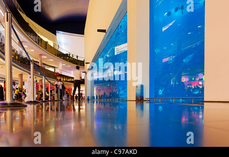 Dubai Aquarium e lo Zoo di Subacquea, Acquario di acqua salata nel centro commerciale di Dubai, Dubai, Emirati Arabi Uniti, Medio Oriente Foto Stock