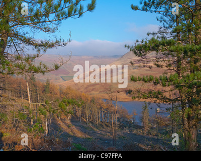 Guardando attraverso Yeoman Hey serbatoio e Saddleworth moor, Greenfield, Oldham, Lancashire, Inghilterra, Regno Unito. Foto Stock