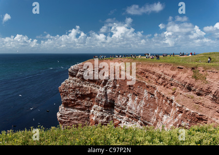 Ripida scogliera alonfg la costa del Mare del nord Isola Helgoland, Schleswig-Holstein, Germania Foto Stock