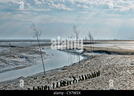 Il Wadden Sea National Park velme, spedizione Canal del porto di pesca, Wremen, Bassa Sassonia, Cuxhaven, Germania Foto Stock