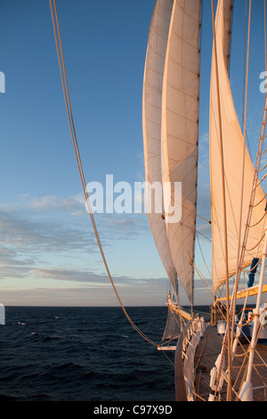 Prua di una barca a vela cruiseship Star Flyer (Star Clippers Crociere), Oceano Pacifico, vicino alla Costa Rica, America Centrale, America Foto Stock