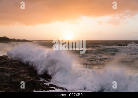 Il tramonto e fare surf a Algajola Bay, a nord-ovest della costa, Balagne in Corsica, Francia, Europa Foto Stock