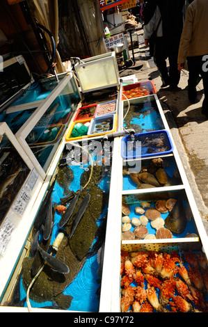 Serbatoi di pesce fresco a Jagalchi Mercato del Pesce, Busan, Corea del Sud. Foto Stock