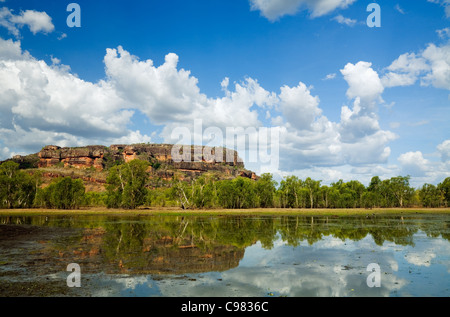 Vista su tutta Anbangbang Billabong. Kakadu National Park, il Territorio del Nord, l'Australia Foto Stock