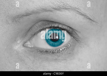 Immagine in bianco e nero di occhio con iris blu Foto Stock