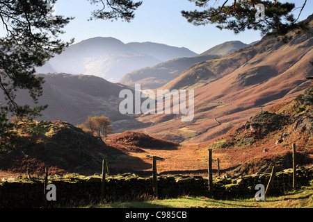 Borrowdale dalla rupe del castello in autunno Lake District inglese, Cumbria, Regno Unito Foto Stock