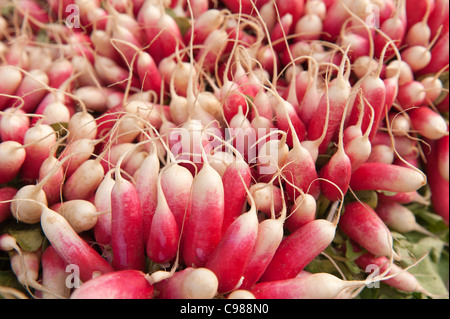 Rosso fresco ravanelli, Prima colazione francese. Foto Stock