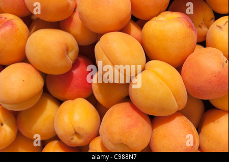 Carni prodotte biologicamente frutta albicocche per la vendita Foto Stock