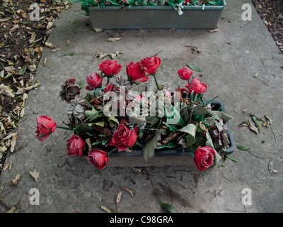 Sbiadito rosso fiori di plastica sulla tomba. Foto Stock