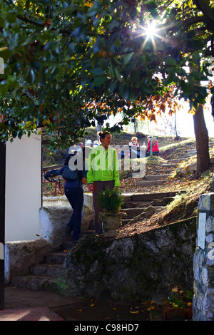 Un turista ragazza in piedi sui gradini sotto agli alberi. Sole splende attraverso la struttura ad albero. Foto Stock