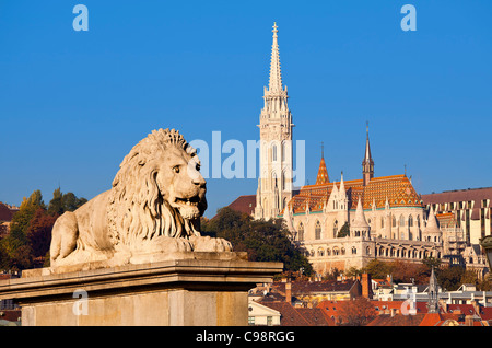 Budapest, scultura Lion sul Ponte della Catena di Janos Marschalko e la chiesa di Mattia Foto Stock