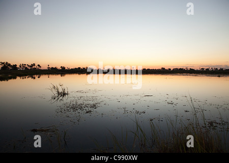 Tramonto sull'acqua nell'Okavango Delta, Botswana, Africa Foto Stock