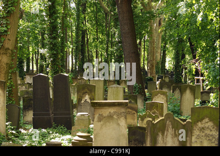 Sunny illuminato dettaglio di un cimitero vecchio in una foresta a Berlino (Germania) Foto Stock