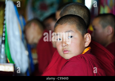 I monaci la preghiera nel monastero di Shankh (khiid), Mongolia Foto Stock