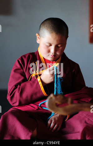 I monaci la preghiera nel monastero di Shankh (khiid), Mongolia Foto Stock