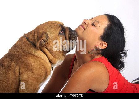 Bulldog inglese con la giovane donna Foto Stock