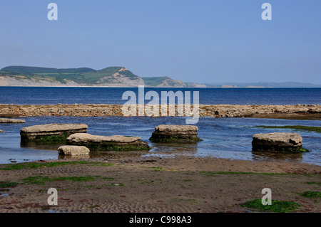 Ampio risalto Lyme Regis su Jurassic Coast Sito Patrimonio Mondiale REGNO UNITO Foto Stock