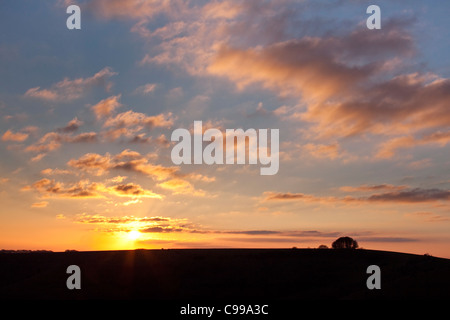 Il sole di setting visto dietro Win Green Hill nel Wiltshire con la sua iconica intrico di faggi. Foto Stock