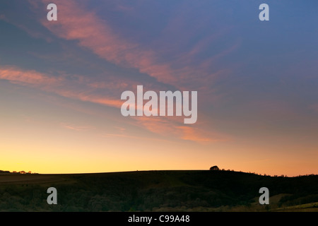 Un tramonto visto dietro Win Green Hill nel Wiltshire con la sua iconica intrico di faggi. Foto Stock