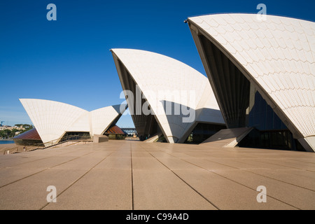 L'iconico archi della Sydney Opera House. Sydney, Nuovo Galles del Sud, Australia Foto Stock