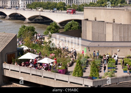 Giardino sul tetto al Queen Elizabeth Hall a Londra il South Bank. Foto Stock