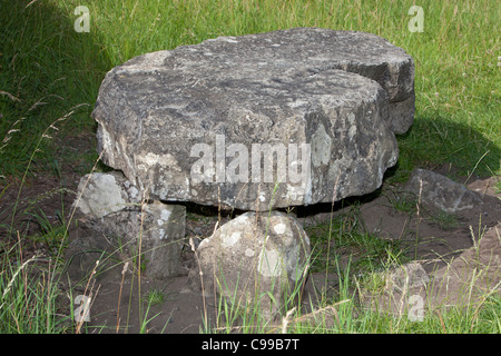 Preistorici camera di sepoltura sulla collina di Knockmary al Phoenix Park di Dublino, Irlanda Foto Stock