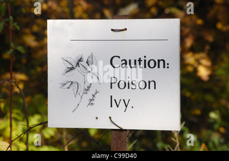 Un cartello in metallo postato sul bordo di una superficie boschiva in High Park Toronto Canada una segnalazione di poison ivy infestazione Foto Stock
