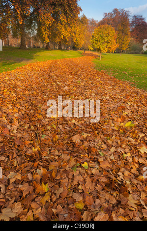 Foglie di autunno pronto per la raccolta in Saint James Park, Londra, Inghilterra, Regno Unito Foto Stock