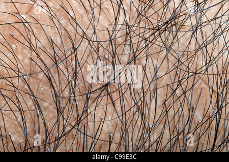 Chiudere fino a capelli umani Foto Stock