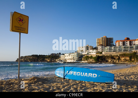 Bagnino di salvataggio sulla scheda di sabbie della spiaggia Bondi. Sydney, Nuovo Galles del Sud, Australia Foto Stock