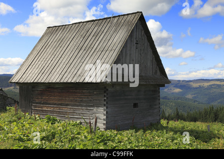 Tradizionale antica casa di legno che può essere trovato in Apuseni Montagne,Transilvania,Romania. Foto Stock