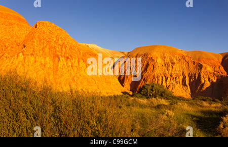 Colori radianti delle scogliere a Maslin Beach nei sobborghi meridionali di Adelaide Foto Stock