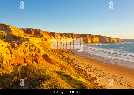 Colori radianti delle scogliere a Maslin Beach e punto Blanche nei sobborghi meridionali di Adelaide Foto Stock