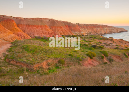 Colori radianti delle scogliere a Maslin Beach e punto Blanche a sud di Adelaide Foto Stock