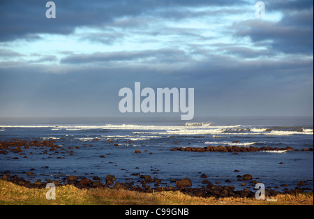 La costa rocciosa di Taranaki sud, Nuova Zelanda Foto Stock