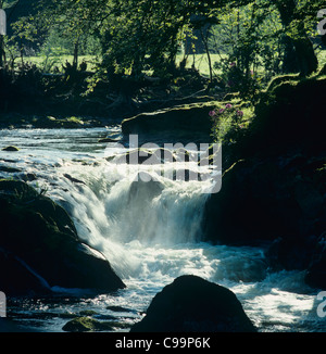 Cascata in condizioni di luce solare intensa sulla boscosa ruscello di montagna nel Parco Nazionale di Snowdonia, il Galles del Nord Foto Stock