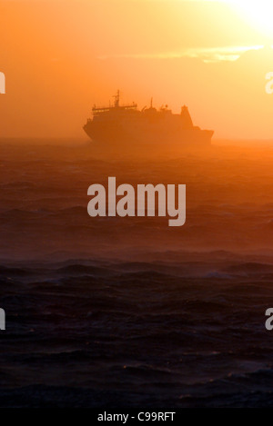 Traghetto Interislander Aratere in gale force venti al tramonto. Cuocere diritta, Wellington, Nuova Zelanda, Australasia Foto Stock