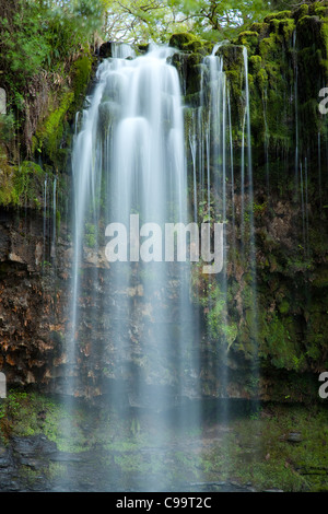 Foresta Fiume e cascata, Wales, Regno Unito Foto Stock