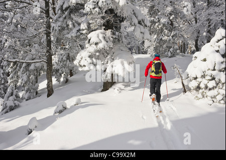 In Germania, in Baviera, il giovane uomo che fa del telemark in Herzogstand foreste di montagna Foto Stock