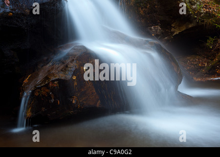 Maidenhair cade nel ravel cliff falls area ricreativa. Foto Stock