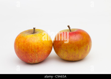 Cox's Orange Pippin mele dai frutteti in inglese Foto Stock