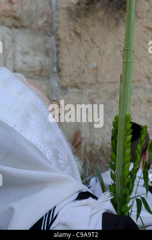 Sukkot celebrazioni con Lulav. Parete occidentale. Gerusalemme la città vecchia. Israele Foto Stock