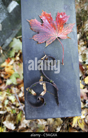 Il polacco, a Lodz, 20111102, cimitero ebraico Foto Stock