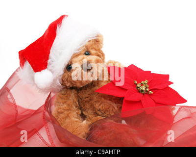 Natale orsacchiotto sullo sfondo bianco Foto Stock