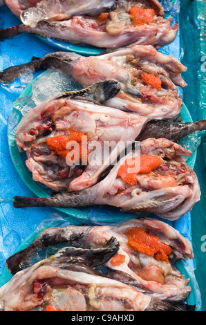 Rana pescatrice con il roe sul display del mercato a Seul Foto Stock