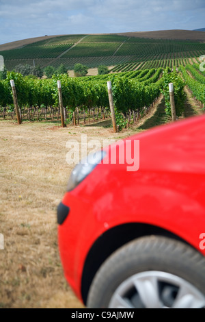 La guida attraverso i vigneti di Pipers River regione dei vini. Pipers River, Tasmania, Australia Foto Stock